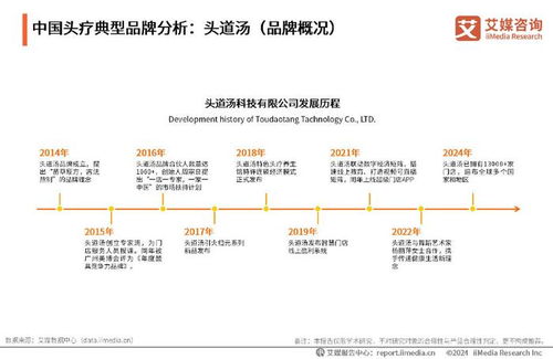 2024-2025年中國(guó)頭皮療養(yǎng)行業(yè)發(fā)展趨勢(shì)分析與投資前景展望